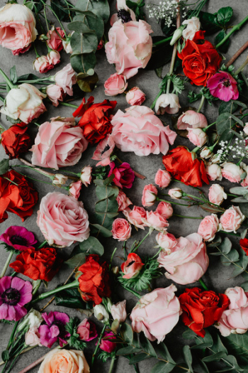 Flowers flat lay Flowers flat lay