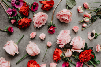 Flowers flat lay Flowers flat lay