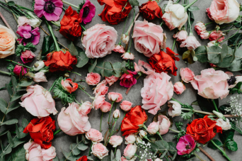 Flowers flat lay Flowers flat lay