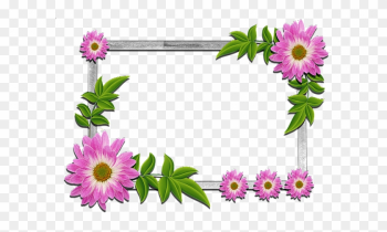 Flowers Frame - Frame Flower Flowers Frame - Frame Flower