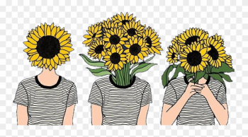 Flowers Girasoles Tumblr Girls Hipster - Sunflower Aesthetic Flowers Girasoles Tumblr Girls Hipster - Sunflower Aesthetic
