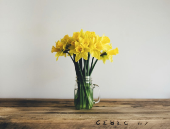 Flowers in a vase. Original | Free Photo - rawpixel