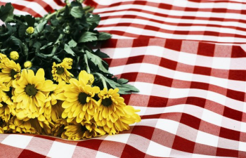 Flowers On Picnic Blanket Flowers On Picnic Blanket