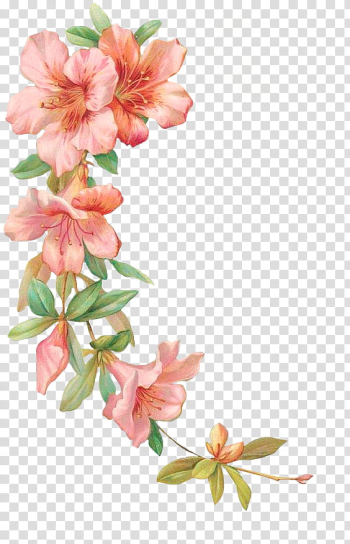 Flowers, pink flowers illustration transparent background PNG clipart Flowers, pink flowers illustration transparent background PNG clipart
