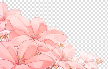 Flowers, pink flowers transparent background PNG clipart