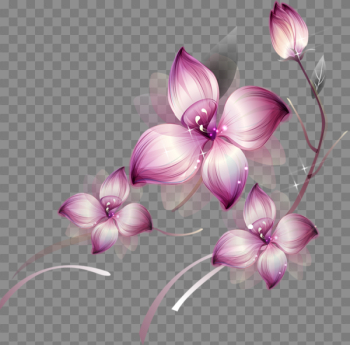Flowers Png Flowers Png
