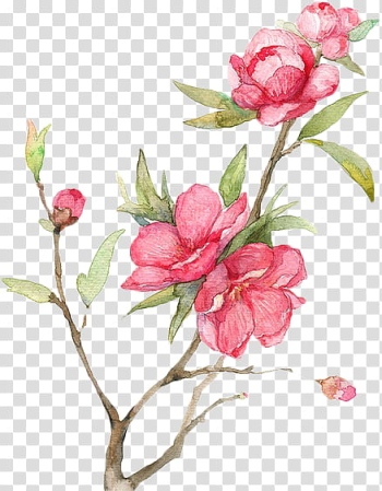 Flowers , Red Flowers transparent background PNG clipart Flowers , Red Flowers transparent background PNG clipart