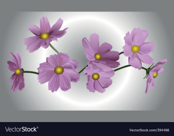 Flowers vector image Flowers vector image