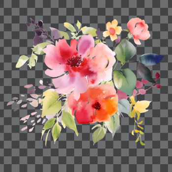 Flowers watercolor, png transparent background