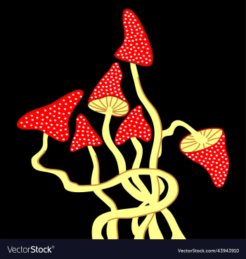 fly agaric fly agaric