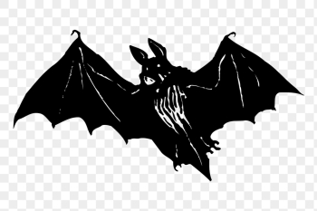 Flying bat drawing png, animal | Free PNG - rawpixel Flying bat drawing png, animal | Free PNG - rawpixel