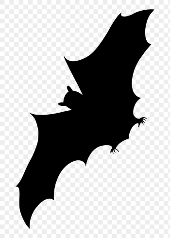 Flying bat png sticker animal | Free PNG - rawpixel Flying bat png sticker animal | Free PNG - rawpixel