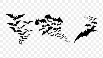 Flying bat png sticker animal | Free PNG - rawpixel Flying bat png sticker animal | Free PNG - rawpixel