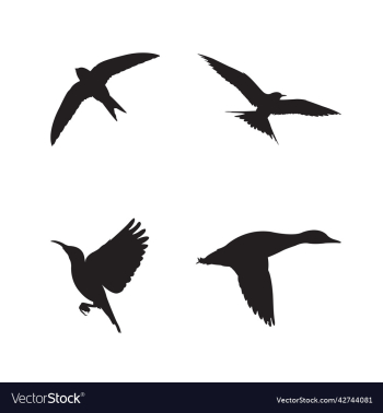 flying birds silhaoutte flying birds silhaoutte