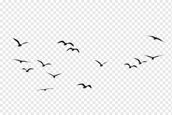 flying black birds illustration, Bird Flock, Birds, angle, white, animals png