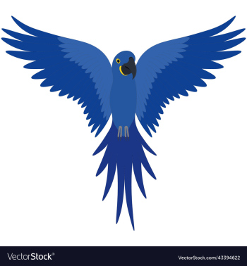 flying blue hyacinth macaw parrot flying blue hyacinth macaw parrot