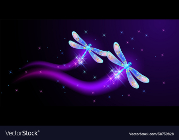 flying dragonfly with sparkle and blazing trail flying dragonfly with sparkle and blazing trail
