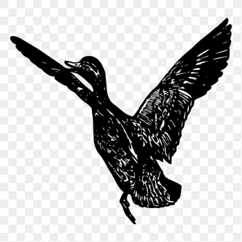 Flying goose png sticker, vintage | Free PNG - rawpixel Flying goose png sticker, vintage | Free PNG - rawpixel