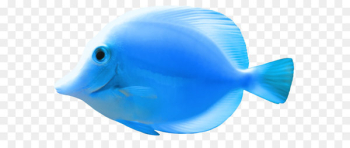FNaF World Bluefish Fishing - Fish Png 2 FNaF World Bluefish Fishing - Fish Png 2