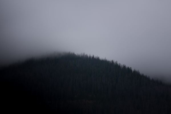 fog covered mountain fog covered mountain
