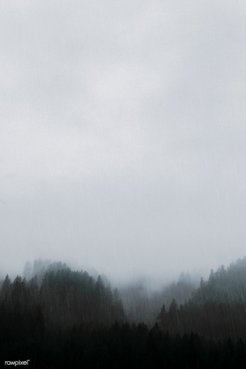 Foggy day | Free public domain photo - 444817 Foggy day | Free public domain photo - 444817