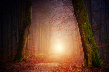 Foggy Path Foggy Path