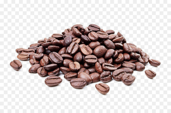 food bean cocoa bean java coffee jamaican blue mountain coffee food bean cocoa bean java coffee jamaican blue mountain coffee