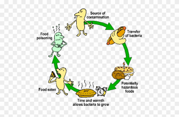 Food Contamination Food Contamination Food Contamination - Bacterial Contamination Of Food