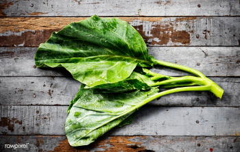 Food kale chinese kale | Free stock photo - 104673 Food kale chinese kale | Free stock photo - 104673