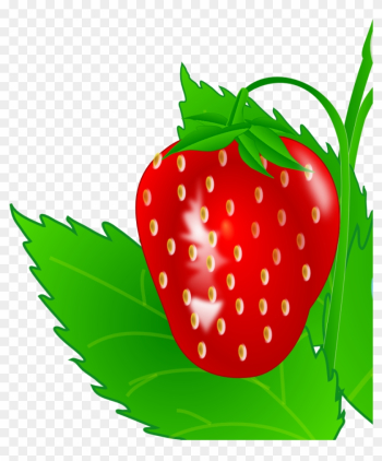 Food - Leaf Food - Leaf