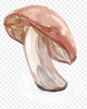 Food mushroom png sticker hand drawn Food mushroom png sticker hand drawn