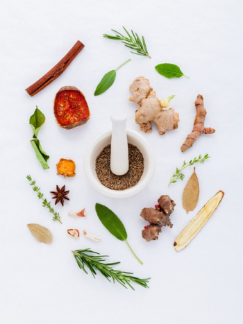 Food on White Background Food on White Background