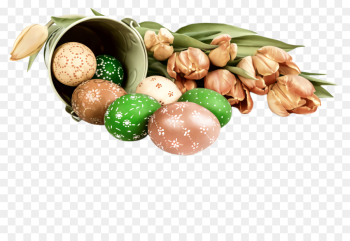 food plant nut superfood food plant nut superfood