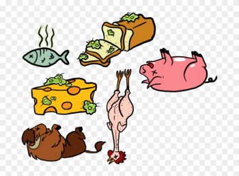Food Spoilage Reminder Magnets By Chesney - Food Food Spoilage Reminder Magnets By Chesney - Food