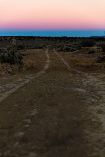 footpath between grass during blue hour footpath between grass during blue hour
