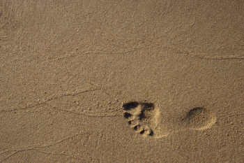 Footprint on Sand Footprint on Sand
