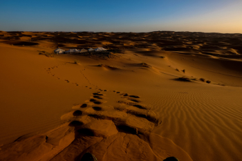 Footprints in Desert Footprints in Desert