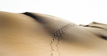 Footprints on Sand Footprints on Sand