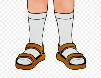 footwear white leg shoe clip art