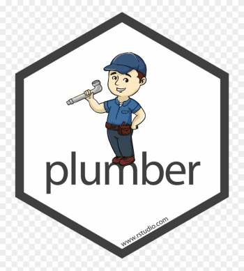 For Reasons Of Ease Of Use And Because It Was Not A - Plumber R