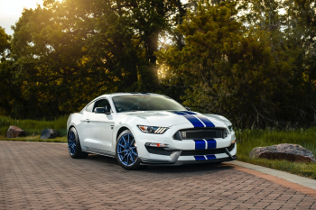Ford Mustang GT350 in Colorado Ford Mustang GT350 in Colorado