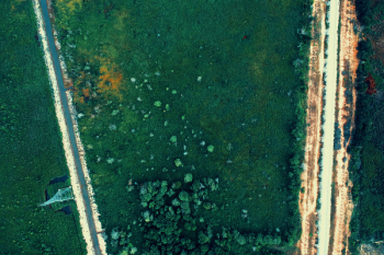 Forest Aerial Photography Forest Aerial Photography