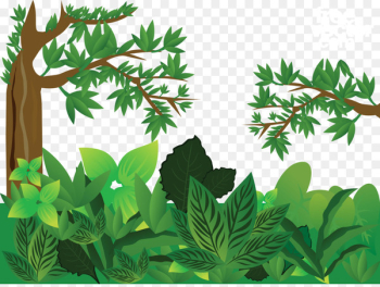 Forest Euclidean vector - Green jungle vector Forest Euclidean vector - Green jungle vector