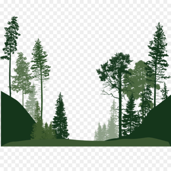 Forest Euclidean vector Tree - Forest trees Forest Euclidean vector Tree - Forest trees
