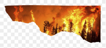 Forest fire png border, torn | Free PNG - rawpixel