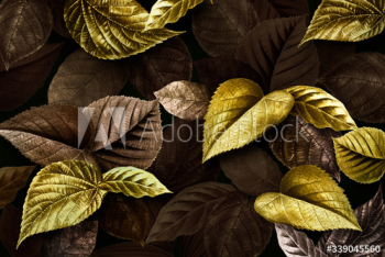 Forest leaves backdrop Forest leaves backdrop