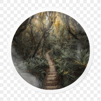 Forest pathway png sticker, nature | Free PNG - rawpixel