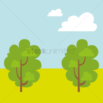 Forest scenery Forest scenery
