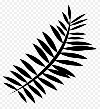 Forest, Silhouette, Nature, Fern, Plant, Green - Forest, Silhouette, Nature, Fern, Plant, Green