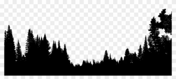 Forest Tree Silhouette - Forest Trees Silhouette Png